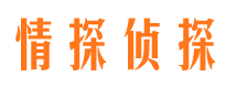 枞阳找人公司